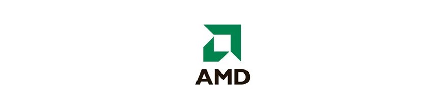 Micros AMD portátil